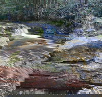 Liffey Falls Reserve - Tourism Cairns
