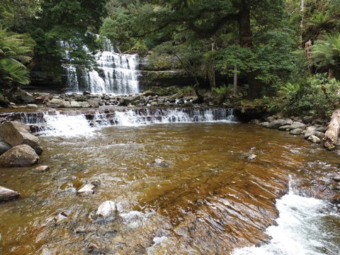 Liffey Falls Reserve - Tourism Cairns 1