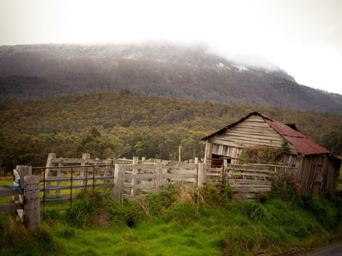 Liffey Falls Reserve - Tourism Cairns 2