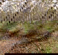 Livingstone National Park - Tourism Cairns