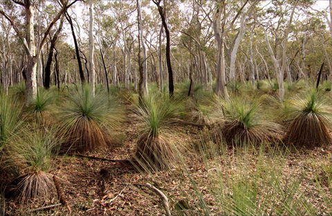 Livingstone National Park - Tourism Cairns 0