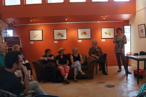 Magpie Springs Gallery - Tourism Cairns 1