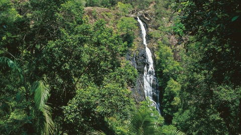 Mapleton - Tourism Cairns 0