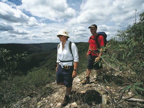 Mapleton - Tourism Cairns 1
