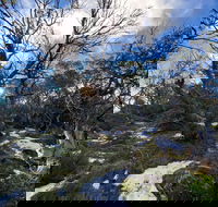 Mount Torbreck Summit Walk - Tourism Cairns