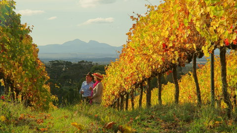 Mount Barker - Tourism Cairns 0