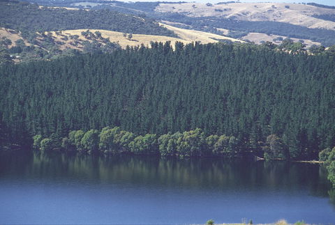 Myponga Reservoir Lookout - Tourism Cairns 0