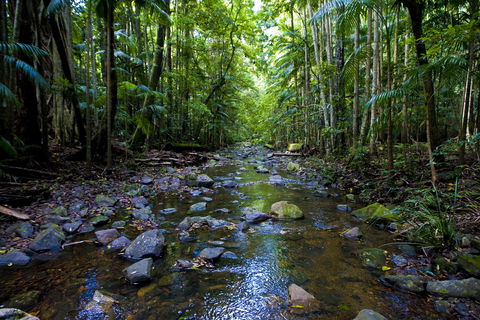 Nambucca Valley - Tourism Cairns 0