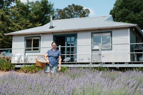 Nannup Lavender Farm - Tourism Cairns 1