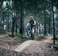 Nerang Mountain Bike Trails - Tourism Cairns