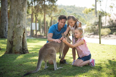 Paradise Country - Tourism Cairns 2