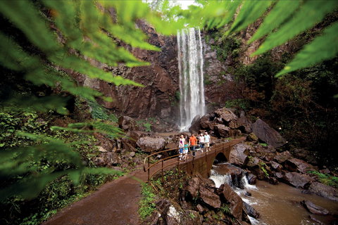 Queen Mary Falls Circuit, Main Range National Park - Tourism Cairns 0
