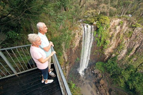 Queen Mary Falls Circuit, Main Range National Park - Tourism Cairns 1