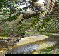 Saltwater National Park - Tourism Cairns