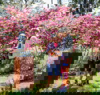 Sculpture at Petana - Tourism Cairns