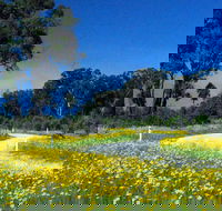 Shearer's Way - Tourism Cairns