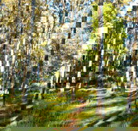 Square Head Track 1 - Tourism Cairns