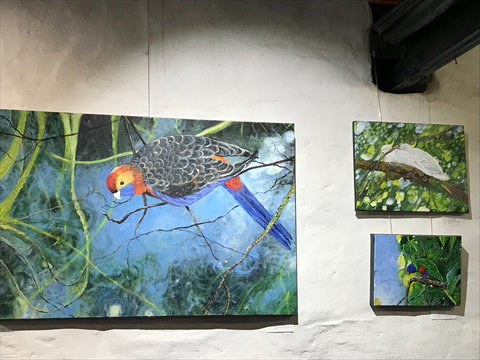 The Coach House Studio - Tourism Cairns 2