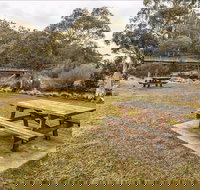 Thredbo River picnic area - Tourism Cairns