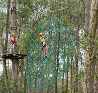 TreeTops Newcastle - Tourism Cairns