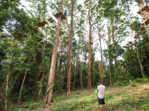 TreeTop Challenge - Sunshine Coast - Tourism Cairns 1