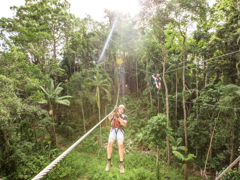 TreeTop Challenge - Sunshine Coast - Tourism Cairns 2