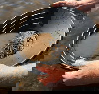 Tuena Panning for Gold - Tourism Cairns