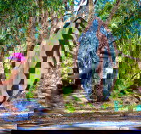 Wagirra Trail and Yindyamarra Sculpture Walk - Tourism Cairns