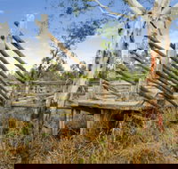 Wandoan - Tourism Cairns