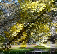 Wattle Park - Tourism Cairns