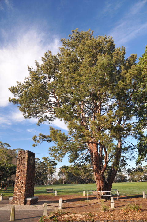 Wattle Park - Tourism Cairns 2