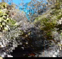 Waterfall Walk Kanangra-Boyd National Park - Tourism Cairns