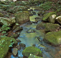 Whian Whian State Conservation Area