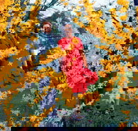 A Changing Australia The Time of Gough Whitlam - Tourism Cairns