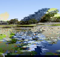 Anderson Park Botanic Gardens - Tourism Cairns