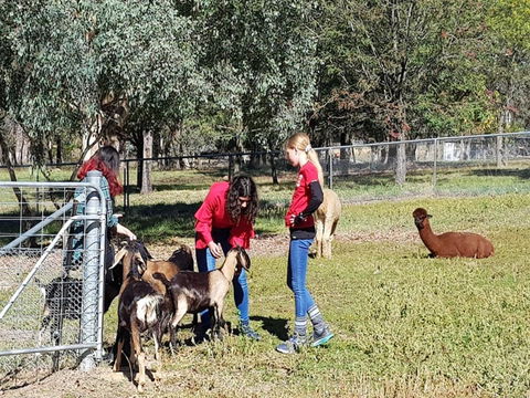 Animal Farm Visit - Tourism Cairns 1