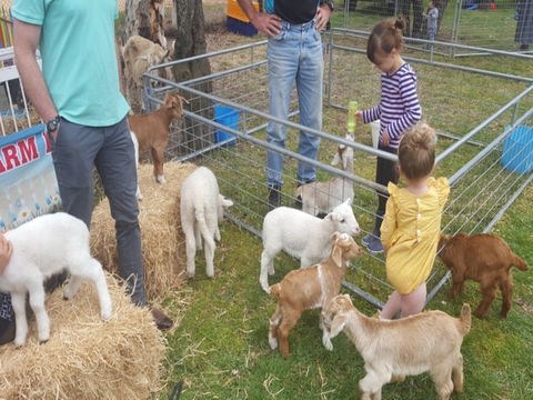 Animal Farm Visit - Tourism Cairns 2