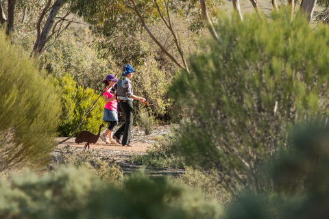 Australian Arid Lands Botanic Garden - Tourism Cairns 0