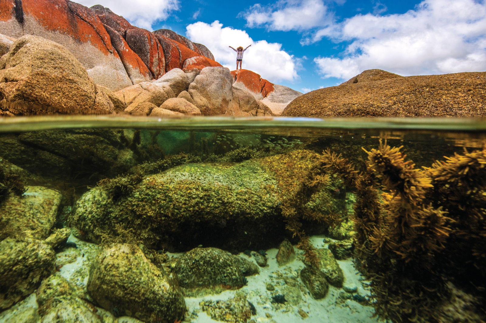 Binalong Bay TAS Tourism Cairns