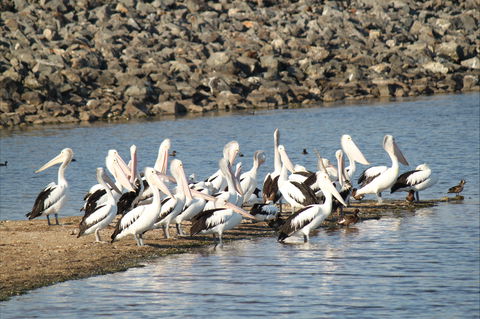 Bjelke-Petersen Dam - Tourism Cairns 2