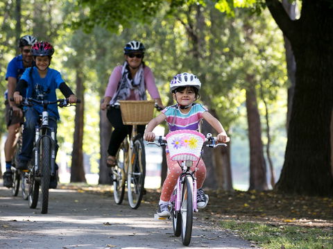 Bright To Wandiligong 5.5km - Tourism Cairns 0