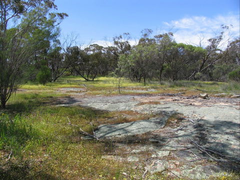 Christmas Rock Walk - Tourism Cairns 0