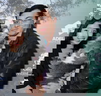 Cleland Wildlife Park - Koala Hold - Tourism Cairns