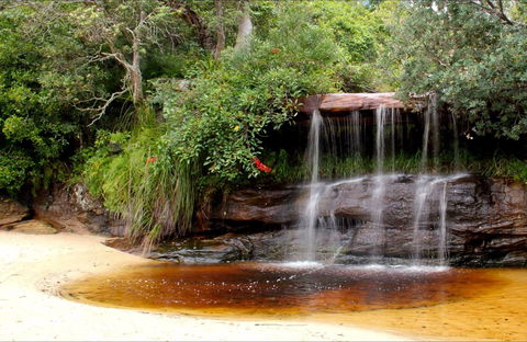 Collins Flat Beach - Tourism Cairns 0