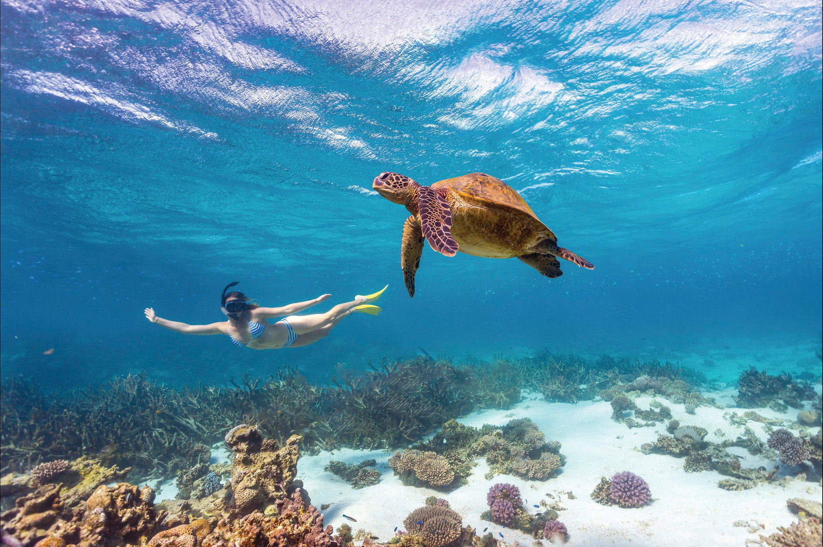  Tourism Cairns