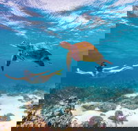 Coral Bay - Tourism Cairns