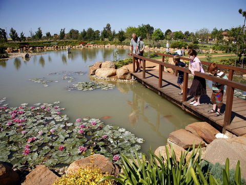 Dubbo Regional Botanic Garden - Closed Until Further Notice - Tourism Cairns 1