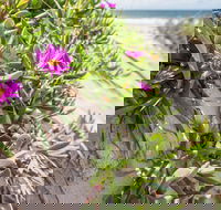 Fort Bribie - Tourism Cairns