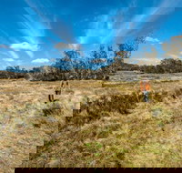 Goldseekers track - Tourism Cairns