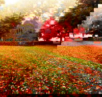 Gostwyck Chapel - Tourism Cairns